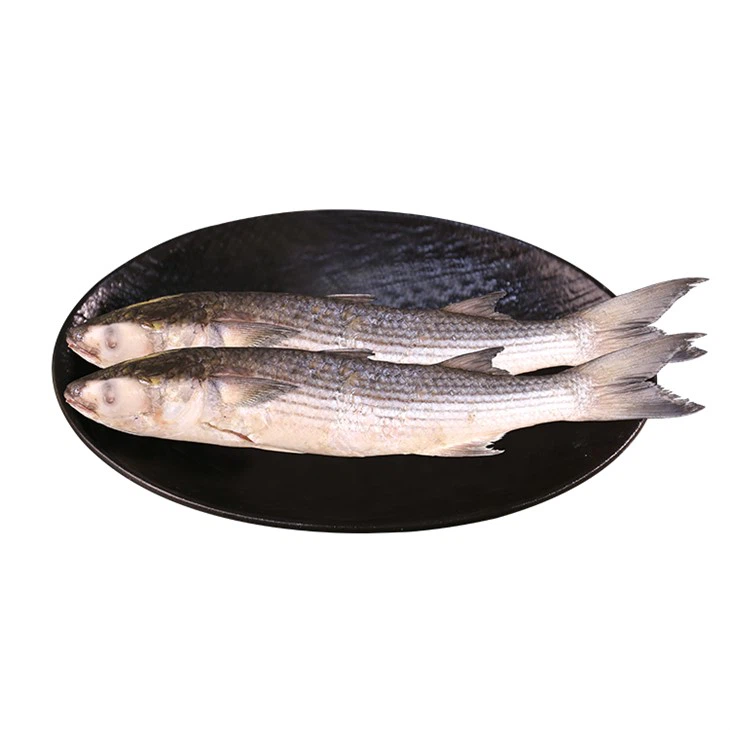 Frozen Grey Barullet