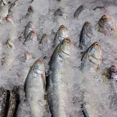 Ανάλυση των αγορών ανάντη, μεσαίας και κατάντη της αλυσίδας της βιομηχανίας ε...