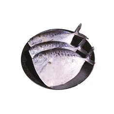 China Deep Bodied Fish