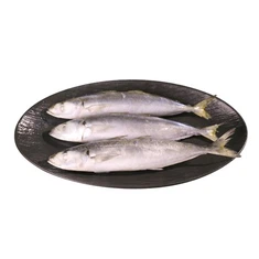 Προσαρμοσμένο Frozen Layang