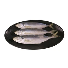 Προσαρμοσμένο Balang Fish