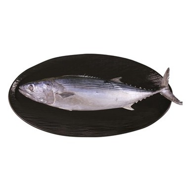 Κατεψυγμένο Oriental Bonito