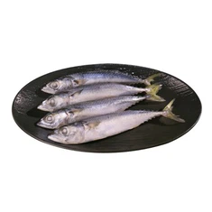 Pacific Mackerel Fish IQF 60/80