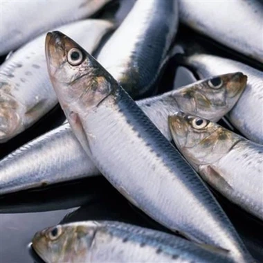 Δείτε πώς τα κινεζικά υδρόβια προϊόντα πηγαίνουν στο εξωτερικό από τη θάλασσα